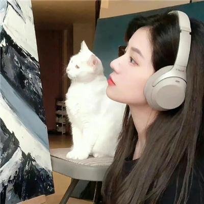 一山难容二虎
